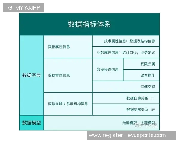 运动最新数据南京排球队速度提升的策略与实践探讨